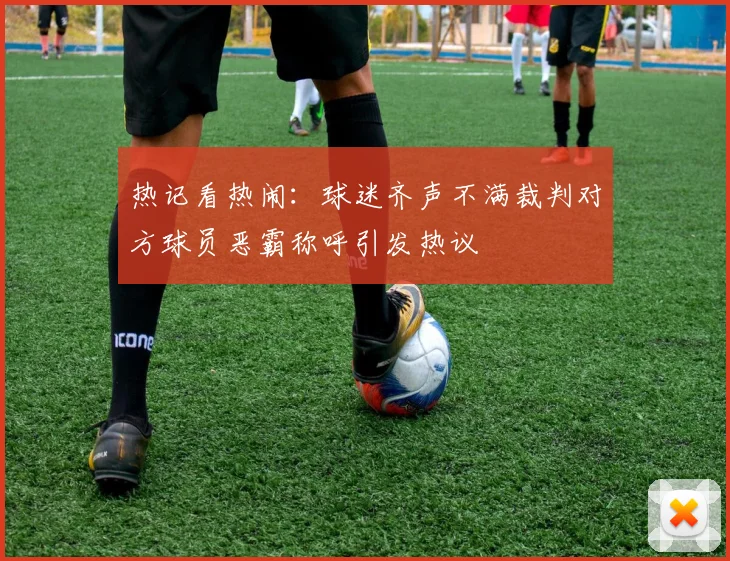 热记看热闹：球迷齐声不满裁判对方球员恶霸称呼引发热议